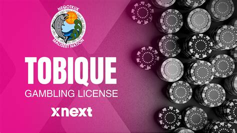 Common reasons why your iGaming license might be .